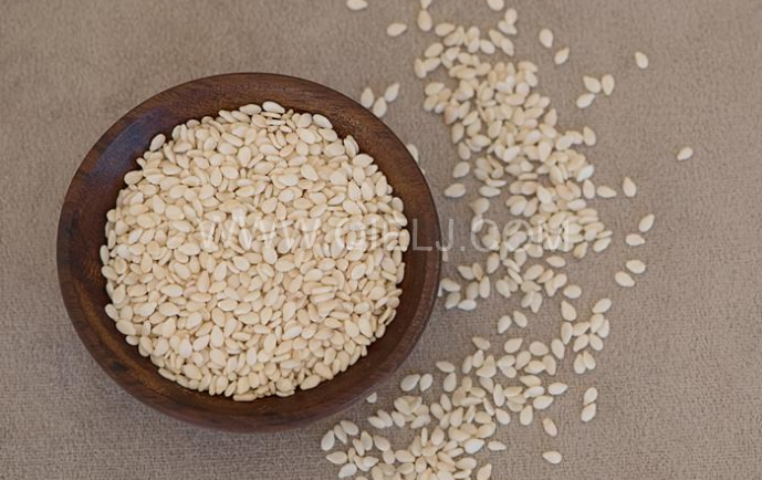 芝麻油壓榨處理設備，企鵝牌液壓榨油機勇于創新生產效率高(圖1)