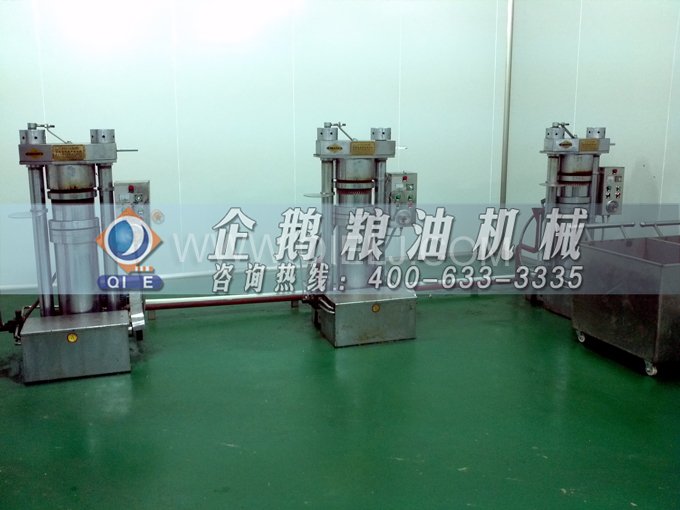 芝麻油壓榨處理設備，企鵝牌液壓榨油機勇于創新生產效率高(圖4)